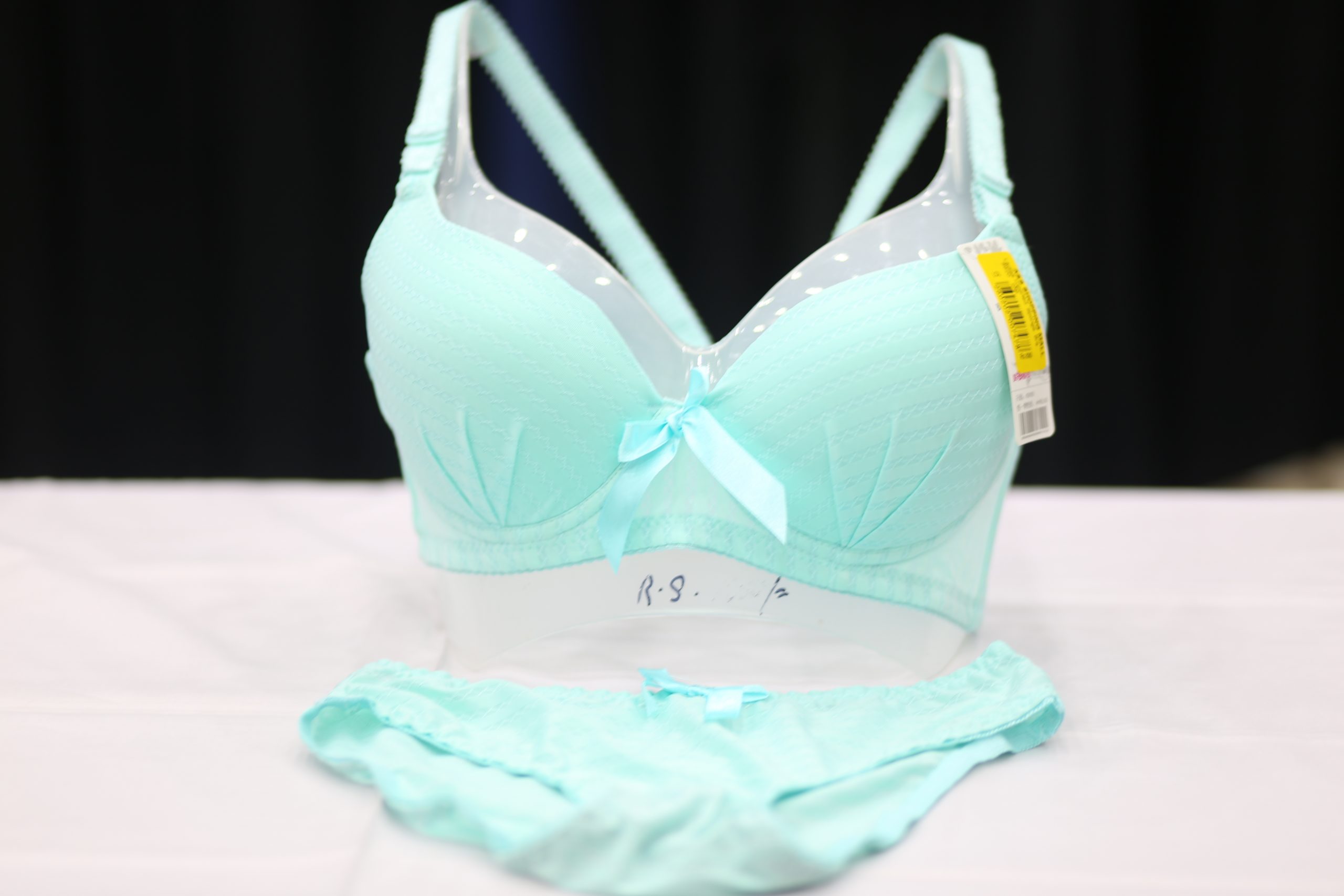 Ladies Imported Sponge Bra -