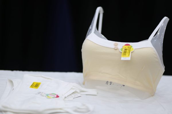 Ladies Imported Blouse -