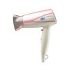Anex Deluxe Hair Dryer (AG-7002)