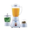 Anex Blender Grinder 2-in-1 (AG-6038)