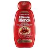 Garnier Ultimate Blends Shampoo 250ml -